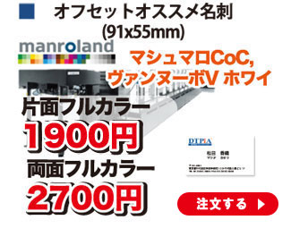 オフセットオススメ名刺(91x55mm)